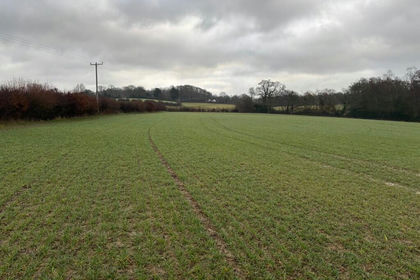 8.7 acres of Agricultural Land for sale in Beckley