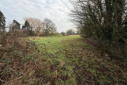 1.4 acres of Development Land for sale in Wrangle
