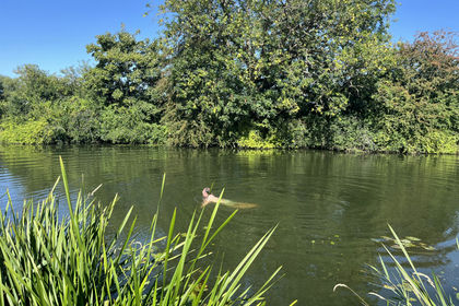 3.7 acres of For sale in Wiltshire