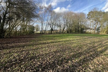 Self Build Plot for sale in Cockfield