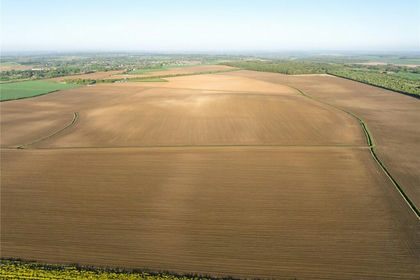 333.3 acres of Arable Land for sale in Gamlingay