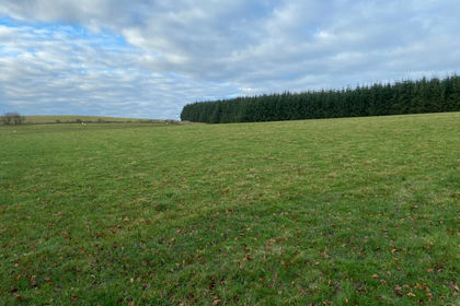 89.7 acres of Agricultural Land for sale in Cynwyl Gaeo