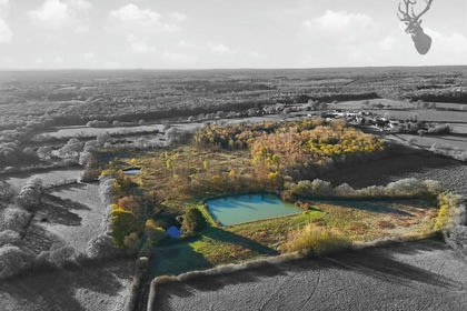 34.5 acres of Development Land for sale in Brickendon Liberty