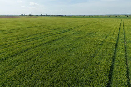 78.9 acres of Arable Land for sale in Grainthorpe