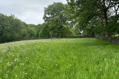 1.5 acres of Grazing Land for sale in Pott Shrigley