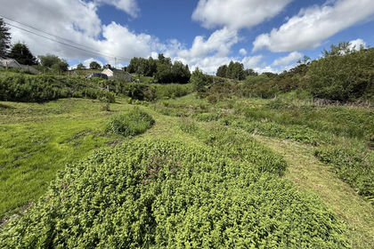 Amenity Land for sale in Blaenrheidol