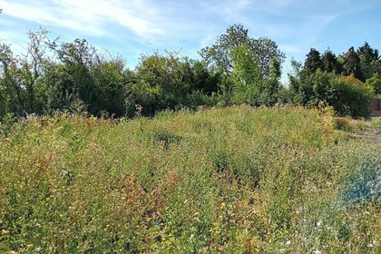 Development Land for sale in Claypole