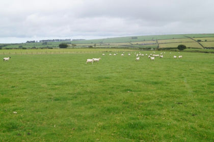 30.2 acres of Agricultural Land for sale in Llandysiliogogo