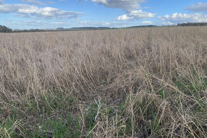 30.1 acres of Arable Land for sale in Shipton-under-Wychwood