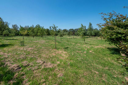 4 acres of House with Land for sale in Holsworthy Hamlets