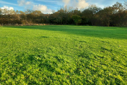 95.9 acres of Agricultural Land for sale in Trimsaran