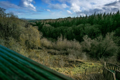 Undeveloped Land for sale in Holcombe Burnell