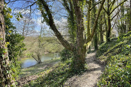 1.1 acres of Riparian Land for sale in Dorchester