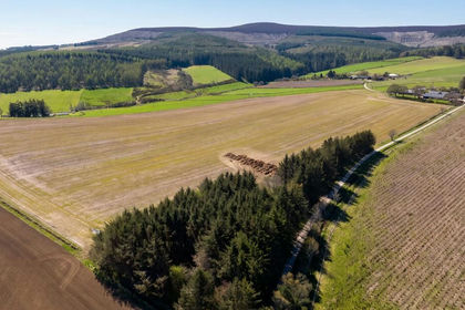 13.3 acres of Agricultural Land for sale in West Aberdeenshire and Kincardine