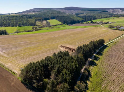 13.2 acres of Grazing Land for sale in West Aberdeenshire and Kincardine
