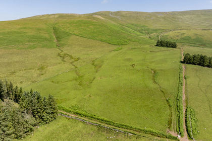 50.7 acres of Agricultural Land for sale in Melmerby