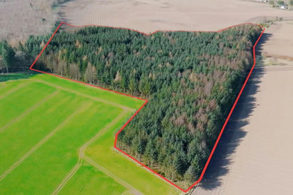 12.6 acres of Undeveloped Land for sale in Perth and Kinross-shire