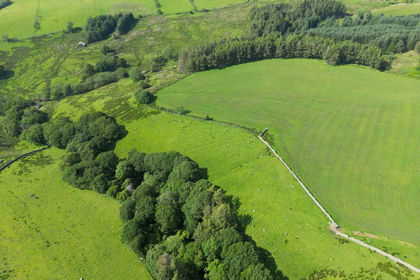 533.4 acres of Agricultural Land for sale in Tatham