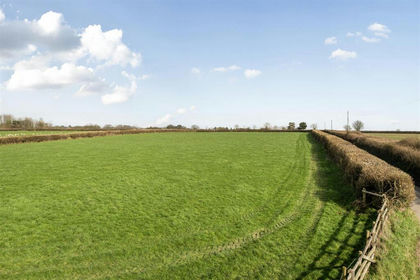 5.1 acres of Agricultural Land for sale in Beer