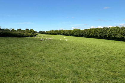 7.9 acres of Grazing Land for sale in Lifton
