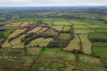 Agricultural Land for sale in Llangyndeyrn