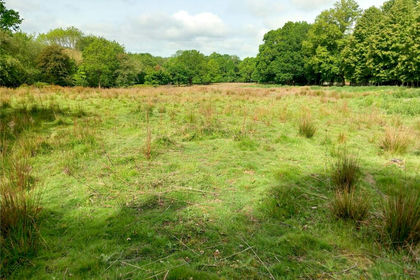 12.8 acres of Vacant Land for sale in Dormansland