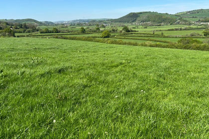 135 acres of Agricultural Land for sale in Llanarthney