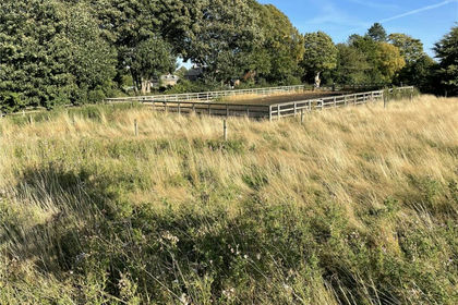 1.6 acres of Agricultural Land for sale in Bishop Monkton