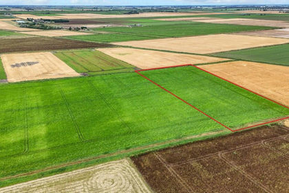6.6 acres of Agricultural Land for sale in Downham