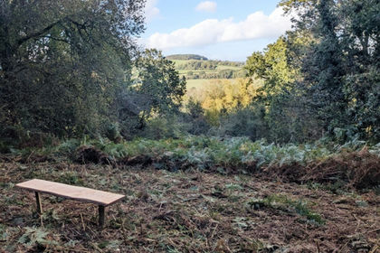 3.3 acres of Woodland for sale in