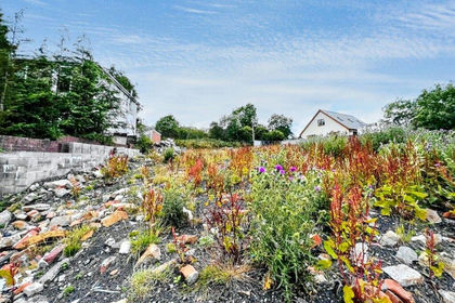 Development Land for sale in Tredegar