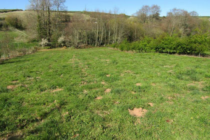 Agricultural Land for sale in Stokenham