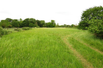 3 acres of Development Land for sale in Manea