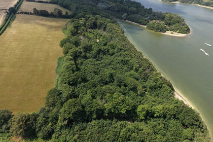 9.8 acres of Woodland for sale in East Sussex