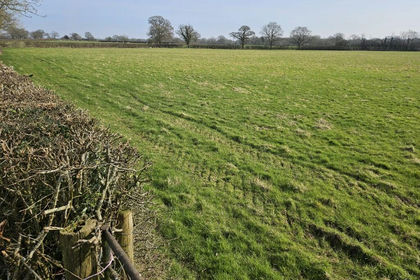 Land for sale in Charlwood