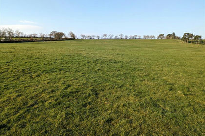 12.6 acres of Agricultural Land for sale in Stapleton