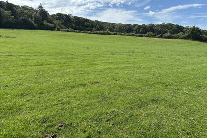 145.7 acres of Agricultural Land for sale in Setmurthy