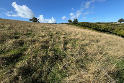 10.1 acres of Agricultural Land for sale in Newton Abbot