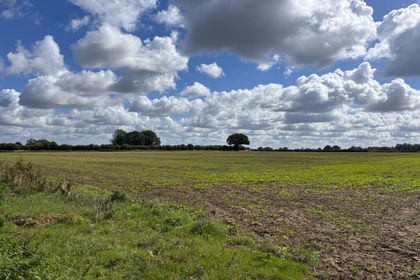 Building Plot for sale in Stow Bedon and Breckles