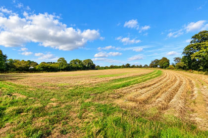31.5 acres of For sale in Mylor