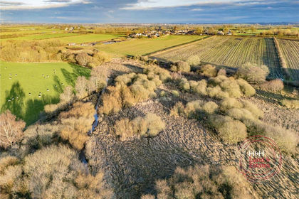 16.8 acres of Agricultural Land for sale in Beaumont