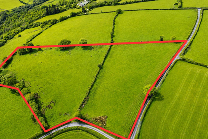 7.3 acres of Agricultural Land for sale in Llanegwad
