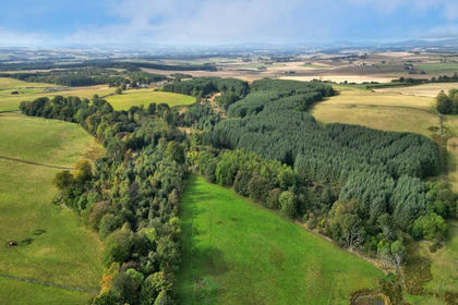 57 acres of Agricultural Land for sale in Gordon and Buchan