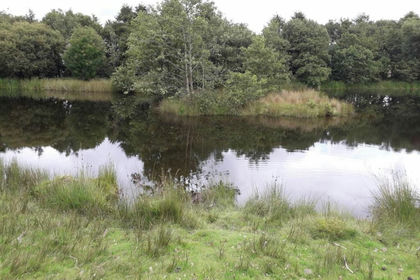 35.9 acres of Agricultural Land for sale in Llanfair Clydogau