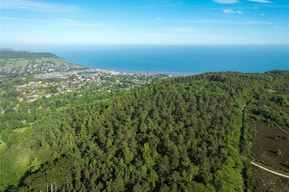 95.6 acres of Timberland for sale in Sidmouth