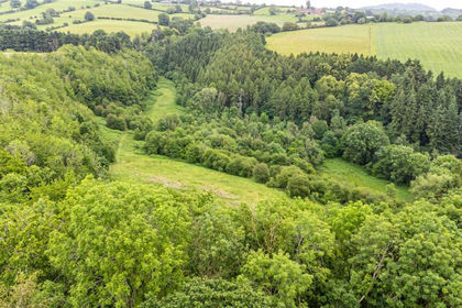 21.6 acres of Vacant Land for sale in Tedstone Delamere