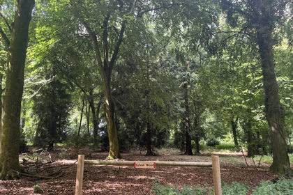 4 acres of Woodland for sale in
