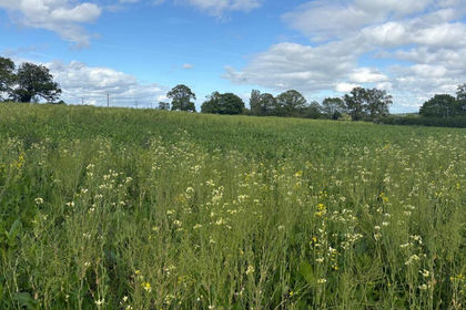 5.7 acres of Farmland for sale in Eccleshall