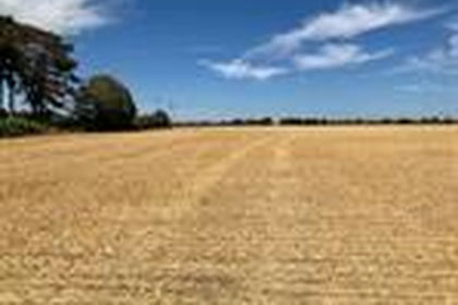 204.9 acres of Arable Land for sale in Ardleigh