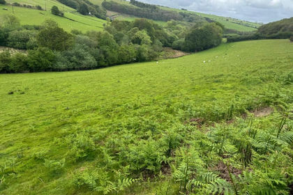 129 acres of Agricultural Land for sale in Trefeurig